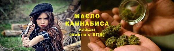 молекула духа Пестово