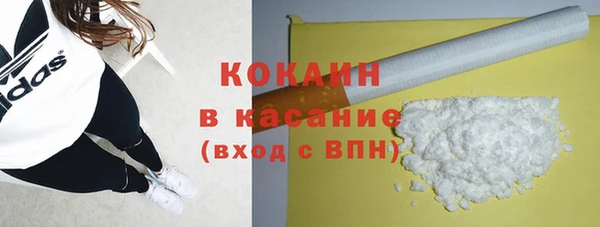 молекула духа Пестово