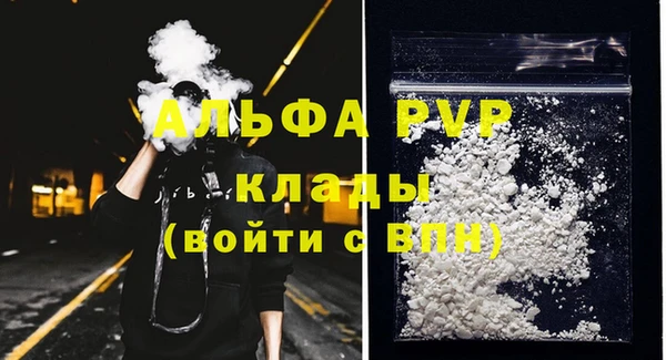 молекула духа Пестово