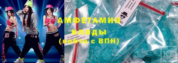 молекула духа Пестово