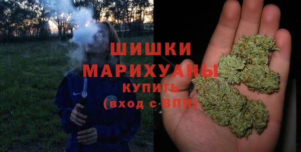 молекула духа Пестово