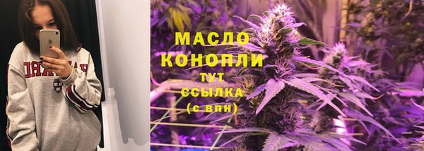молекула духа Пестово