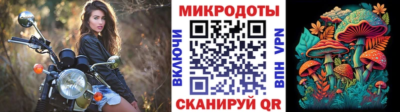 Галлюциногенные грибы Psilocybe  где купить наркоту  Фурманов 